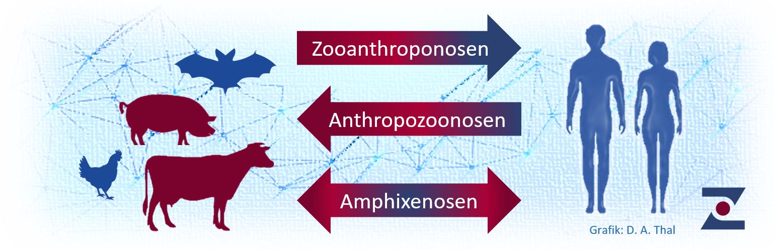 Was Unterscheidet Mensch Vom Tier Was sind Zoonosen? | Nationale Forschungsplattform für Zoonosen